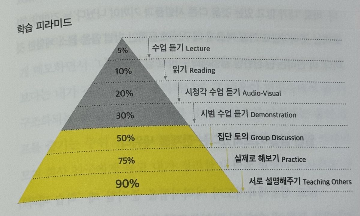229 학습 피라미드